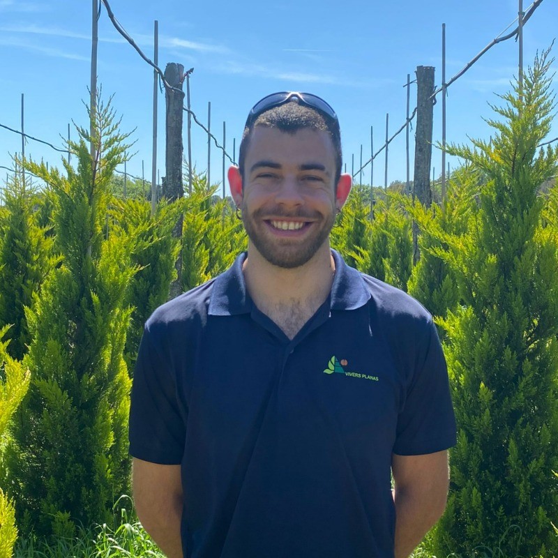 Terradas i Casellas, Mateu